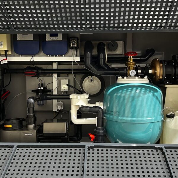 Second image of Piscine en polypropylène 6.5 mx 2.5 m avec fenêtre de piscine de 4 m